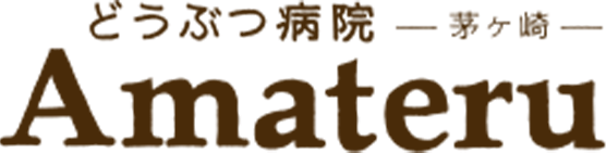 Amateru