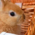 病院の紹介